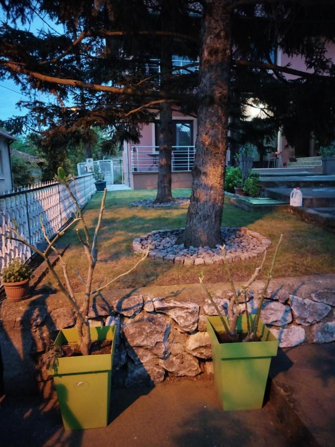 Studio 2 Golubac Exterior photo